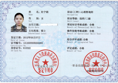 杜寧娟 技術咨詢領域的專業引領者